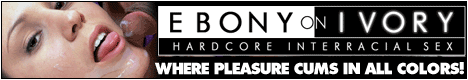 Enter here for Interracial Hardcore Action