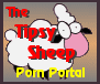 The tipsy Sheep